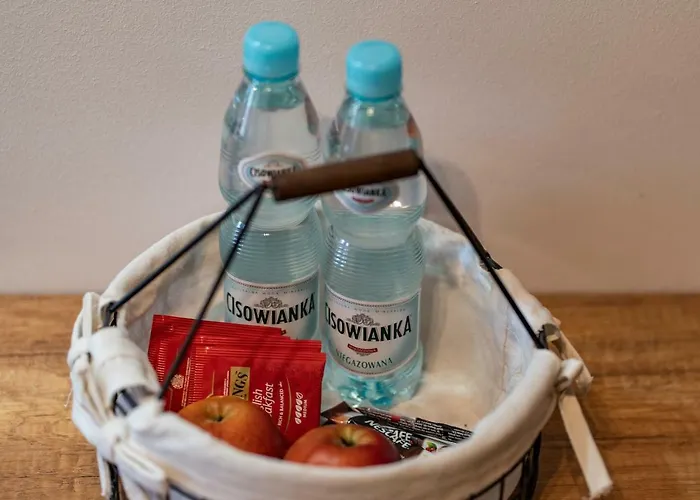 Przy Wyspie Mlynskiej Apartment *